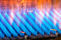 Devol gas fired boilers